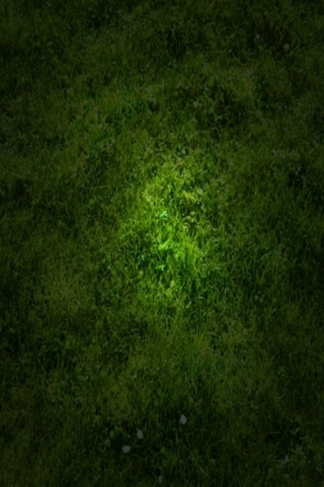 Free Iphone 4 Wallpaper サイズ 640px 960px 癒される グリーン Green のiphone4用壁紙 画像集 高画質 Iphone壁紙ギャラリー