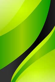 Green Wallpaper