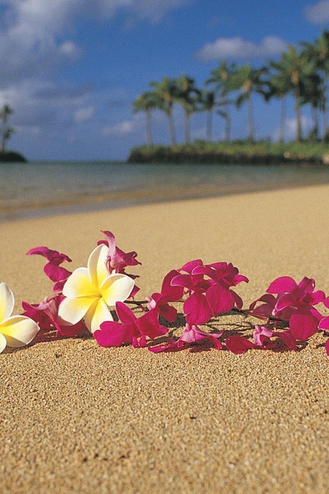 ハワイのビーチ 夏っぽい壁紙 Iphone壁紙ギャラリー