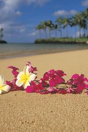 ハワイのビーチ - 夏っぽい壁紙
