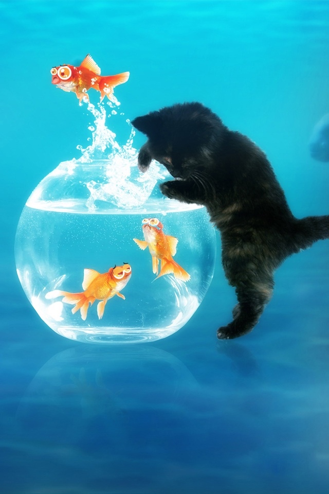 猫と金魚鉢 Iphone壁紙ギャラリー
