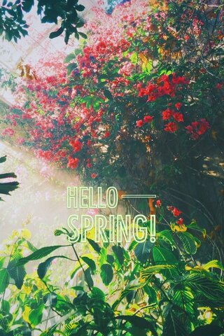 Hello Spring