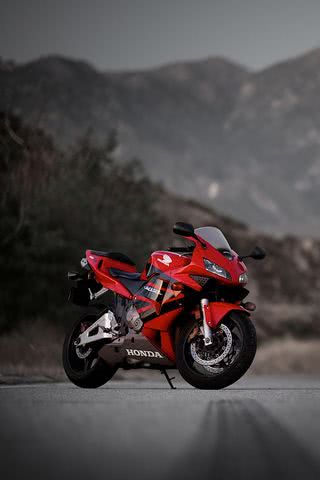 HONDA CBR600RR