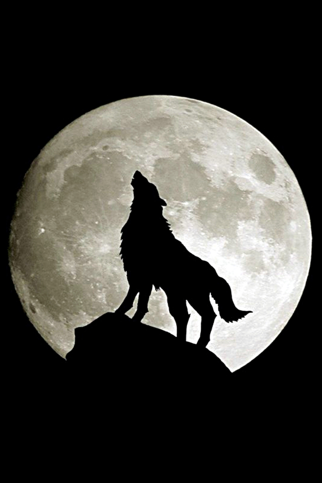 オオカミと満月 Iphone壁紙ギャラリー