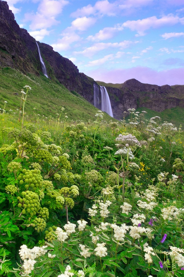 Iceland Morning Scenery Waterfalls Grass Flowers Iphone Wallpaper 640x960 Iphone 4 4s Wallpaper Download Iwall365 Com Iphone壁紙ギャラリー