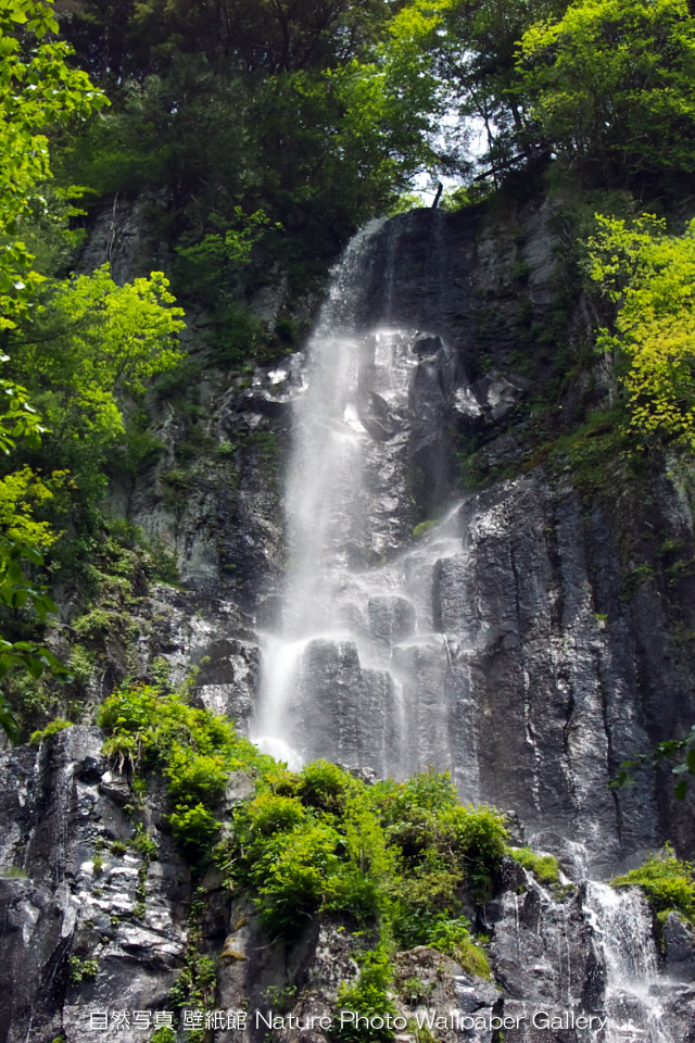 スマホ壁紙 Iphone 4高画質壁紙 新緑の滝 自然 風景