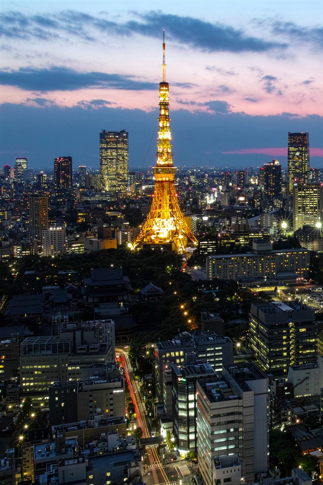 綺麗な東京タワー 夜景 壁紙 Iphone 最高の花の画像