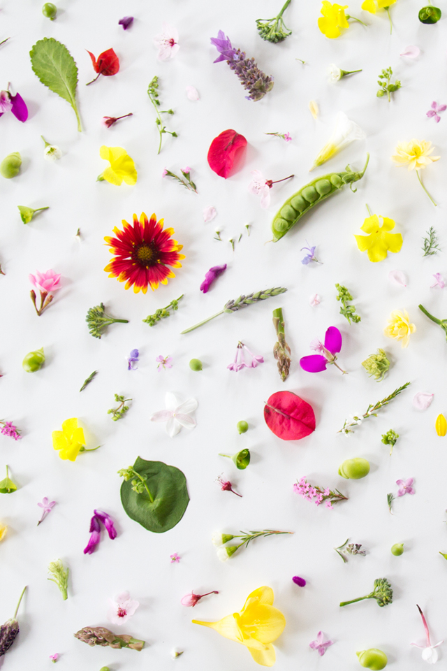 すべての美しい花の画像 ベスト50 Iphone 壁紙 シンプル 花