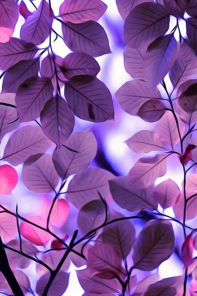 紫色の葉っぱ Iphone壁紙ギャラリー