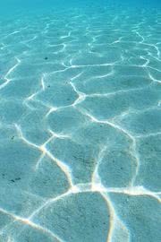 透き通った水の中 | 夏の涼しげなiPhone壁紙