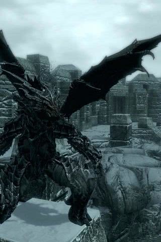 Skyrim