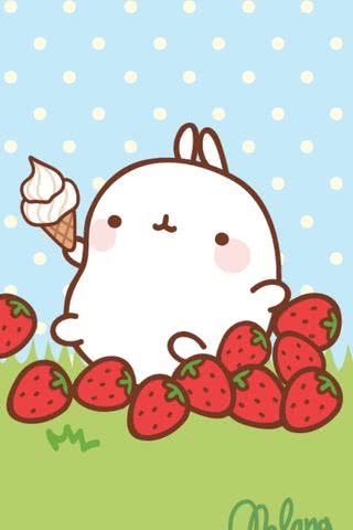 MOLANG - モラン