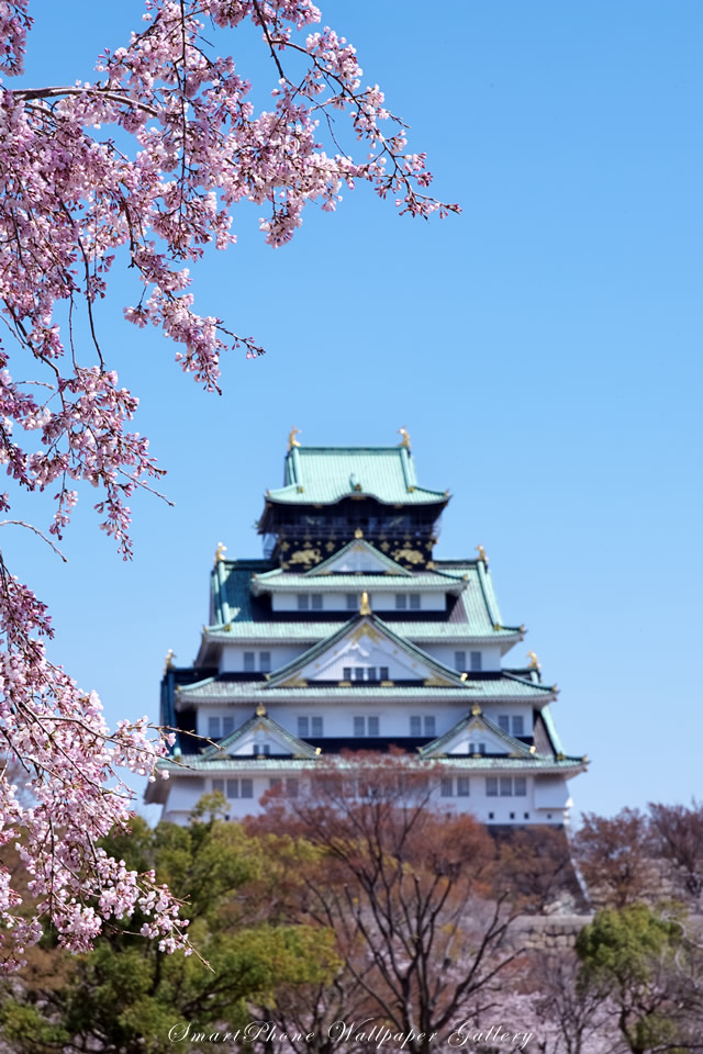 Free Iphone 4s Wallpaper Nature Landscapes 大阪城 Osaka Castle Iphone 壁紙館 Iphone壁紙ギャラリー