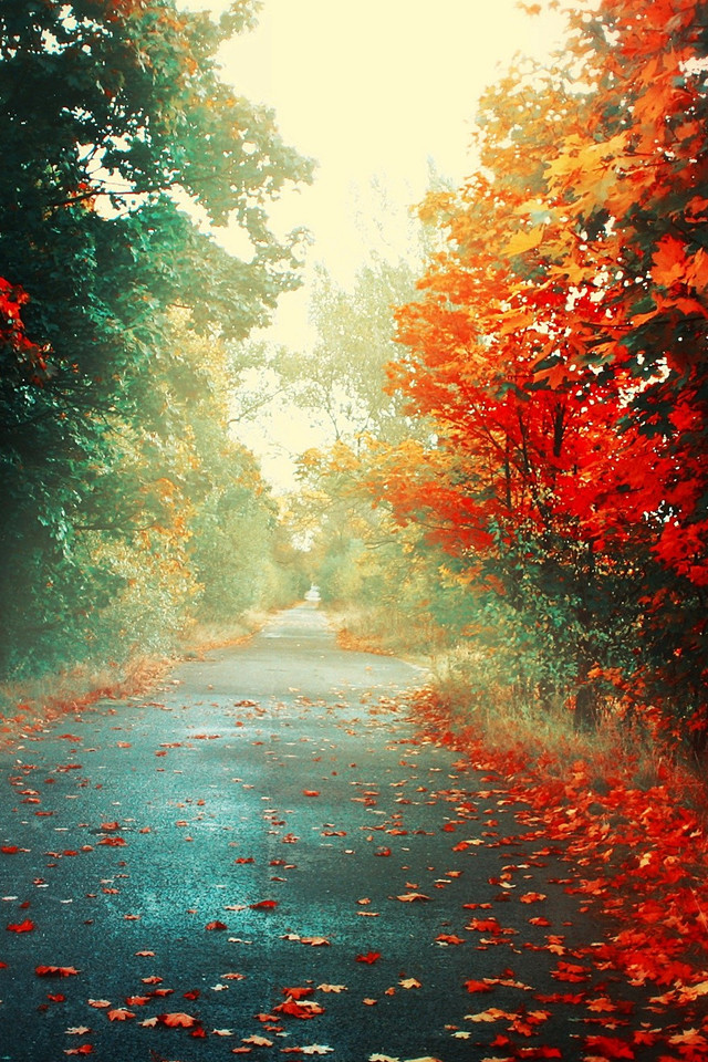 秋の景色 Iphone壁紙ギャラリー