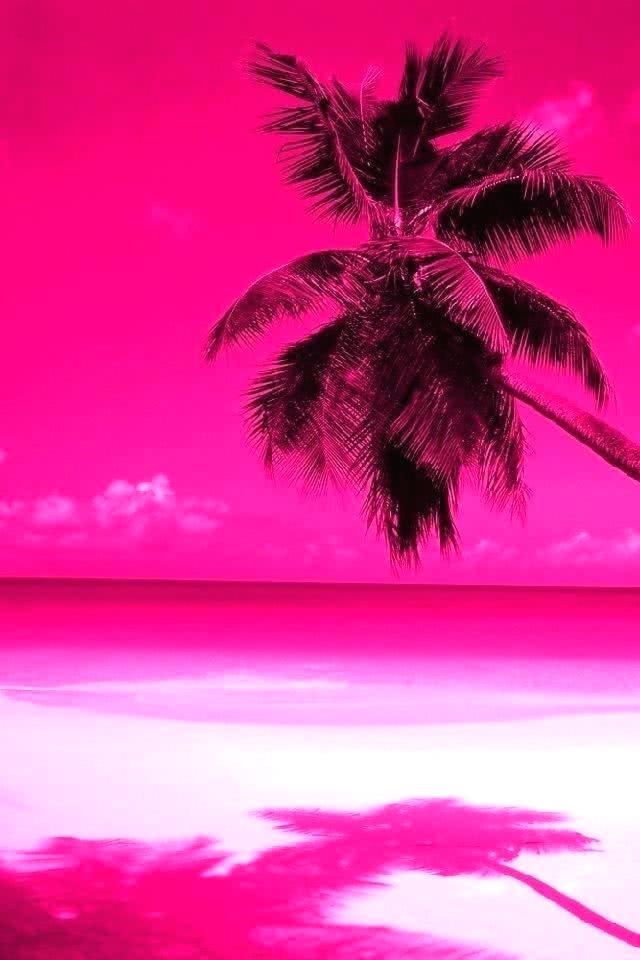 Pink Beach Iphone壁紙ギャラリー