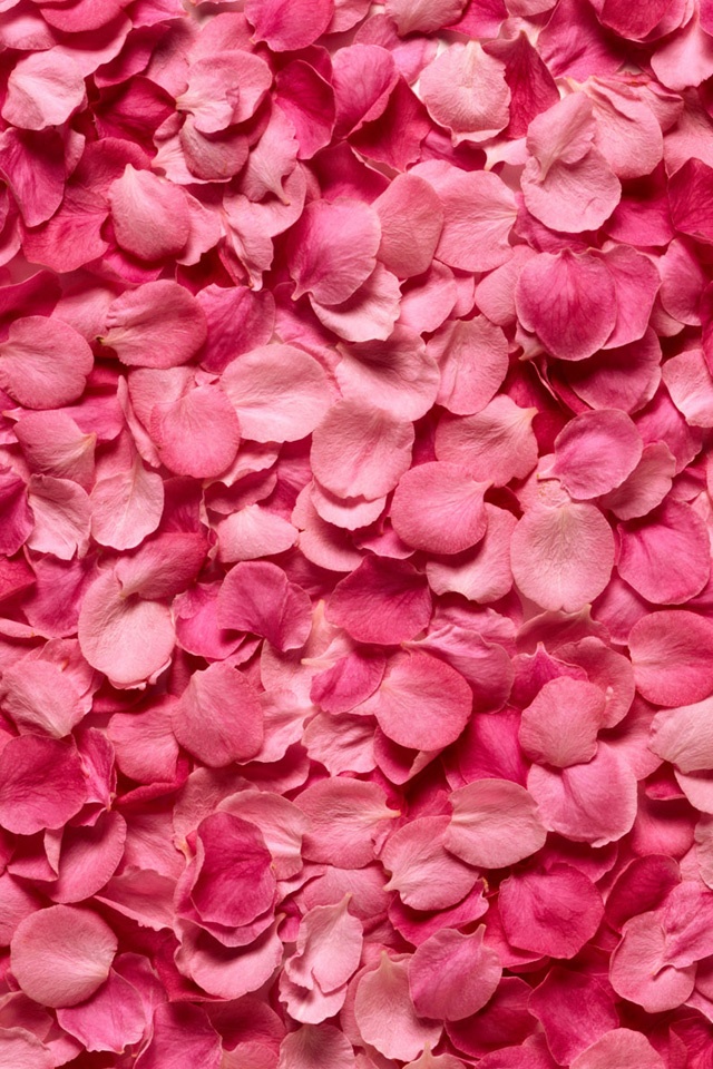 無料でダウンロード ピンク おしゃれ 壁紙 Iphone ただ素晴らしい花