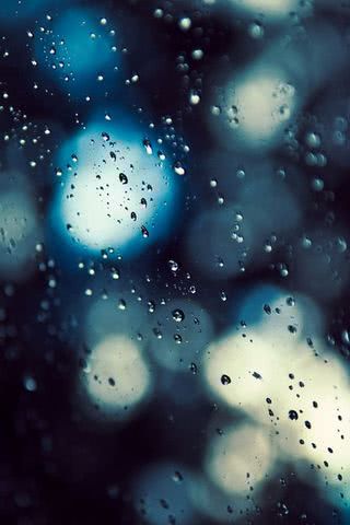 夜の雨