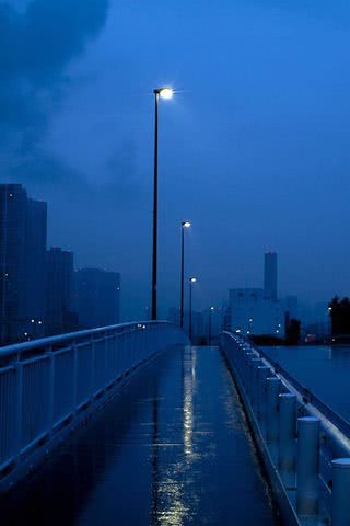 雨の夜