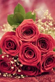 赤いバラの花束