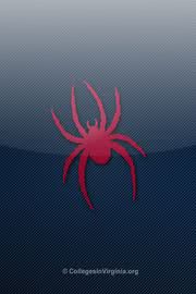 カッコイイ蜘蛛のロゴマーク（Richmond Spiders）