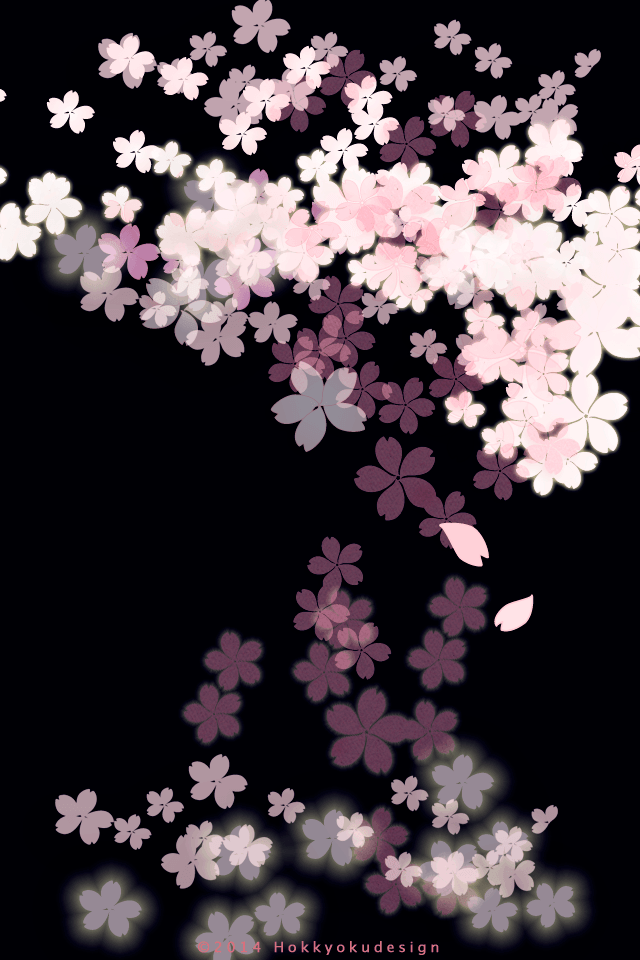 キレイな夜桜２ Iphone壁紙ギャラリー