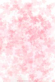 【146位】桜色の花柄 | GirlyなiPhone壁紙