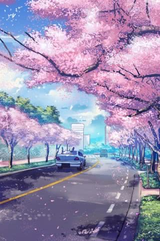 桜並木