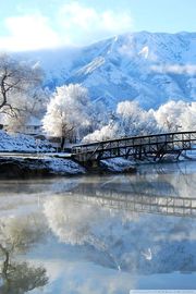 冬の水辺の真っ白な風景