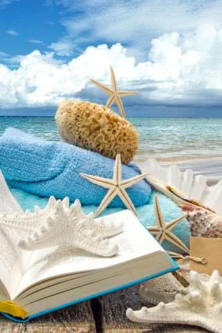 ビーチの本と貝殻