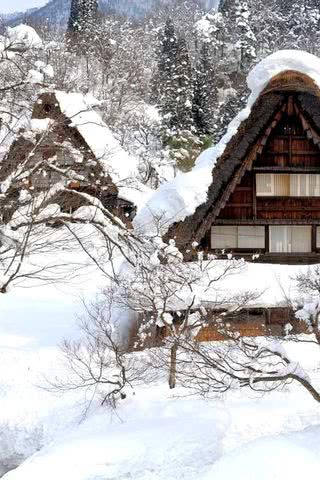 雪に包まれた集落