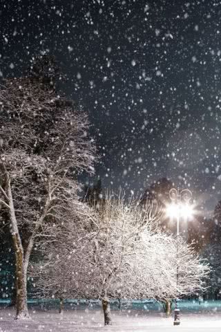 雪夜の公園