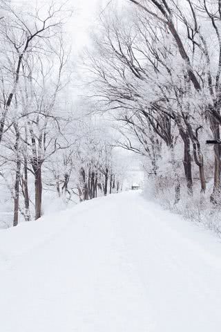 雪道