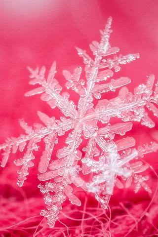 雪の結晶