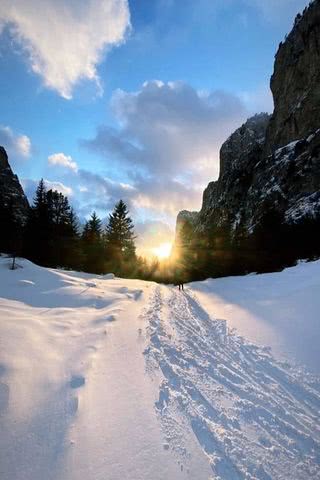 雪原