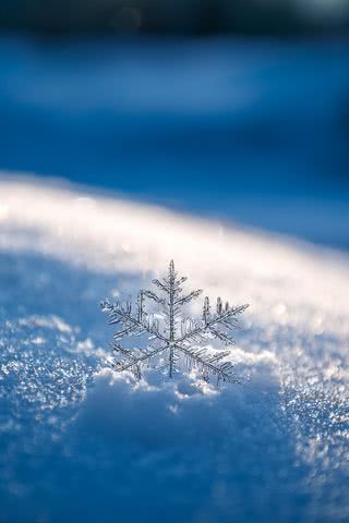 雪の結晶