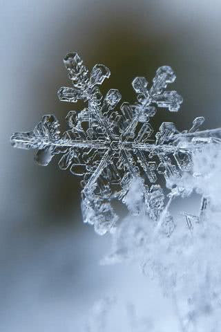 雪の結晶