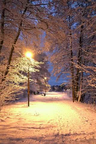 雪の夜