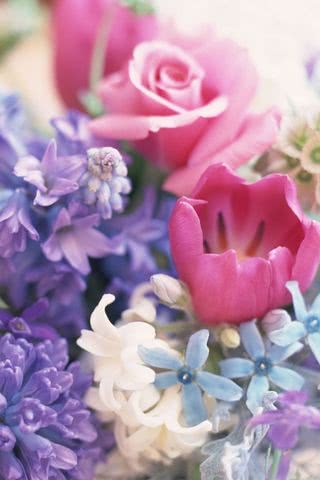 【46位】春の花