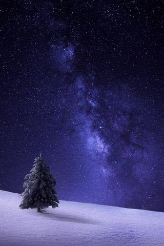 雪原の星空