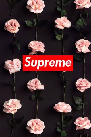 Supreme