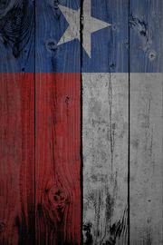 木の板に描かれたテキサスの旗