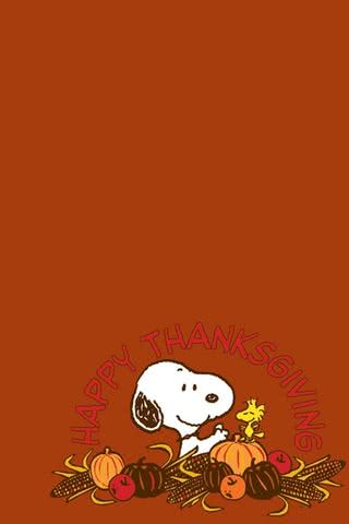 富豪 チチカカ湖 眉をひそめる Snoopy 壁紙 Iphone Bizbook Jp