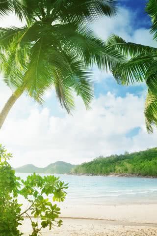 トロピカルビーチ | 夏にぴったりなiPhone壁紙