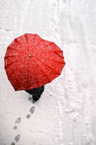 真っ赤な傘と真っ白な雪