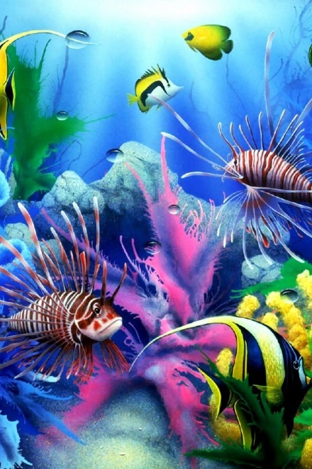 熱帯魚特集 スマホ壁紙ギャラリー