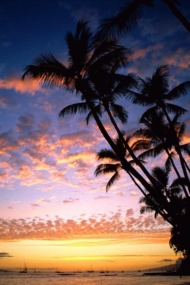 ハワイの海の夕焼け Iphone壁紙ギャラリー