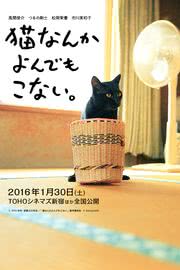 猫なんかよんでもこない。 | 映画のiPhone壁紙