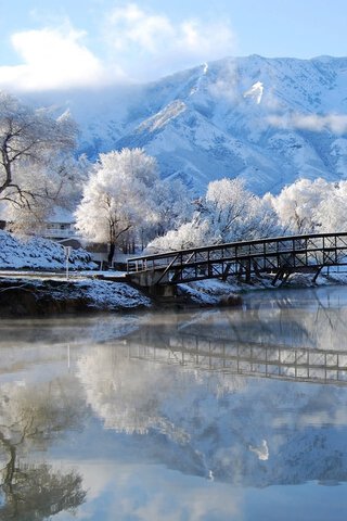 川辺の雪景色