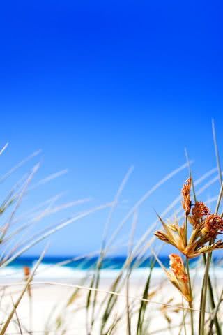 海辺の青空 | 夏にぴったりなiPhone壁紙