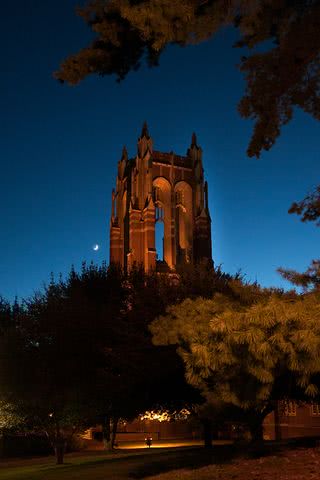 【夜景】大聖堂